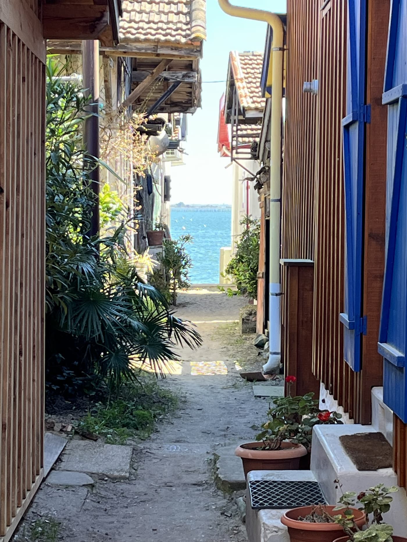 France : ruelle fleurie aux volets colorés menant à la mer